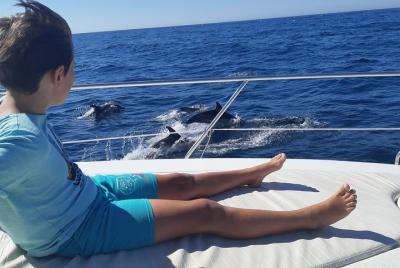 Avistamiento de delfines en Marbella Avistamiento de delfines en Marbella