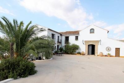 Excursión por la costa en Málaga: Excursión privada de aceite de oliva Excursión por la costa en Málaga: Excursión privada de aceite de oliva
