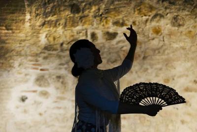 Flamenco, Tapas y Wine Tour: ¡LO MEJOR DE Málaga en una noche! Flamenco, Tapas y Wine Tour: ¡LO MEJOR DE Málaga en una noche!