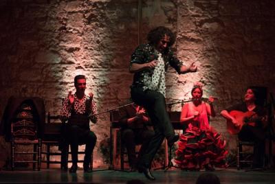 Excursión de Jerez al Flamenco desde Málaga Excursión de Jerez al Flamenco desde Málaga