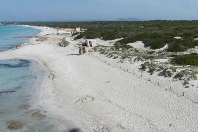 Mallorca Full Day Trip Beach Es Trenc Mallorca Full Day Trip Beach Es Trenc