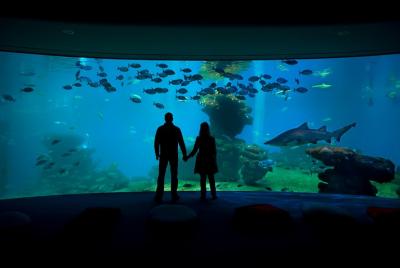 Entrada a Palma Aquarium con traslados Entrada a Palma Aquarium con traslados