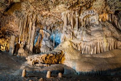 Excursión a las Cuevas del Drach o Hams y Fábrica de Perlas Excursión a las Cuevas del Drach o Hams y Fábrica de Perlas