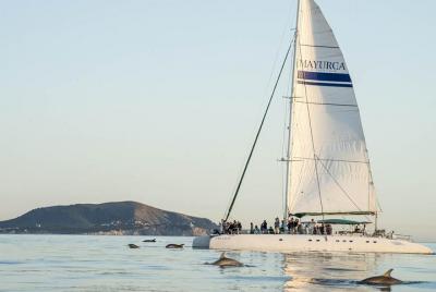 Crucero en catamarán desde Cala Ratjada con almuerzo y bebidas Crucero en catamarán desde Cala Ratjada con almuerzo y bebidas