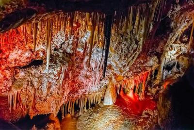 Entrada para las Cuevas de Génova y almuerzo Entrada para las Cuevas de Génova y almuerzo