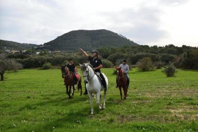 Cabalgatas en los Valles de Randa, Mallorca, España Cabalgatas en los Valles de Randa, Mallorca, España