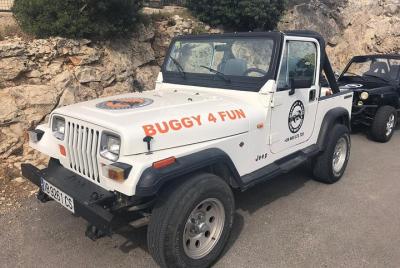 Familias especiales todos los tours con nuestro Jeep Wrangler (4 plazas) Familias especiales todos los tours con nuestro Jeep Wrangler (4 plazas)