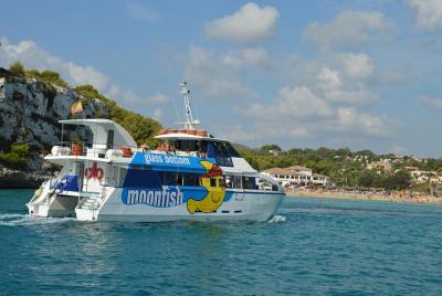 Visión submarina: viaje de 2 horas por la costa este Visión submarina: viaje de 2 horas por la costa este