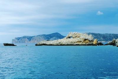 Experiencia de navegación de medio día por la costa de Mallorca Experiencia de navegación de medio día por la costa de Mallorca