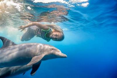 Observación de delfines, esnórquel VIP, viaje por el mar y deport