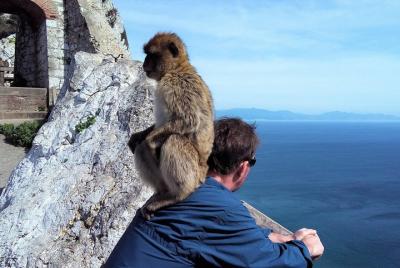 Excursión privada de día completo a Gibraltar desde Marbella o Málaga