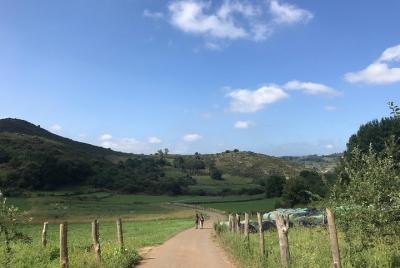 Sabor del camino de santiago Lugares turísticos en Oviedo Cosas que hacer enOviedo 497898362 Sabor del camino de santiagoLugares turísticos en Oviedo Cosas que hacer en Oviedo 497898362