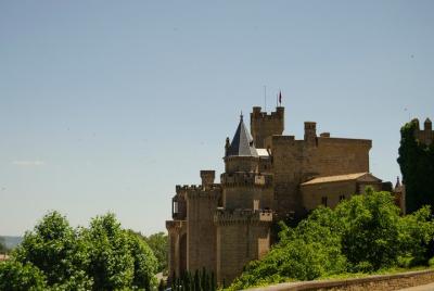 Visita guiada por la villa medieval de Olite y su Palacio Real.