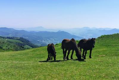 MONTAÑAS, OCÉANO Y SANTUARIO Vasco de LOYOLA - Aventura Cultural Privada MONTAÑAS, OCÉANO Y SANTUARIO Vasco de LOYOLA - Aventura Cultural Privada