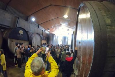 Vive en la sidrería, la tradición del txotx. Vive en la sidrería, la tradición del txotx.