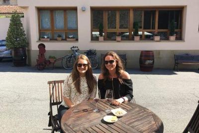 Excursión A Diferentes Bodegas De La Rioja Desde San Sebastián Excursión A Diferentes Bodegas De La Rioja Desde San Sebastián