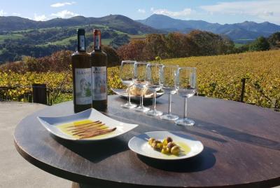 Visita privada a la bodega de txakoli con degustaciones en Getaria Visita privada a la bodega de txakoli con degustaciones en Getaria