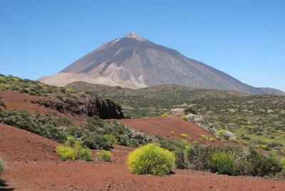 Excursión al monte Teide y el Valle de Masca en Tenerife Excursión al monte Teide y el Valle de Masca en Tenerife