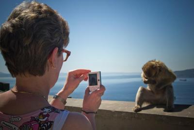 Excursión de un día a Gibraltar desde Sevilla Excursión de un día a Gibraltar desde Sevilla