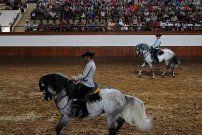 Día completo de Jerez y Cádiz desde Sevilla, con Horse Ballet y Sherry Tasting Día completo de Jerez y Cádiz desde Sevilla, con Horse Ballet y Sherry Tasting