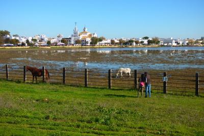 Doñana Parque Nacional en 4x4 y El Rocío Doñana Parque Nacional en 4x4 y El Rocío