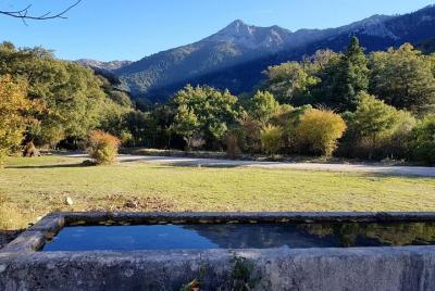 Excursión privada de un día de observación de aves a las montañas de Grazalema y Ronda desde Sevilla Excursión privada de un día de observación de aves a las montañas de Grazalema y Ronda desde Sevilla