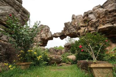 Bangalore a Tirupati, Lord Venkateswara y Templo Sri Kalahasti