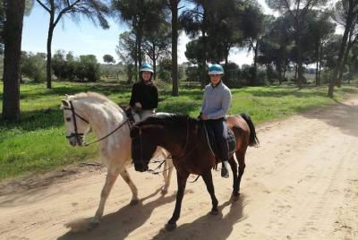 Cabalgatas en el Parque Natural Doñana, Sevilla Cabalgatas en el Parque Natural Doñana, Sevilla