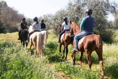 Paseos a caballo por Doñana Paseos a caballo por Doñana