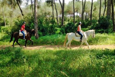 Excursión de paseo a caballo desde Sevilla Excursión de paseo a caballo desde Sevilla