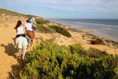 Excursión de un día a caballo o en 4x4 en el Parque Nacional de Doñana Excursión de un día a caballo o en 4x4 en el Parque Nacional de Doñana
