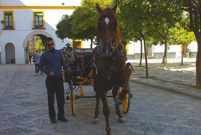 LUXExperience - Coche de Caballo & Cava LUXExperience - Coche de Caballo & Cava