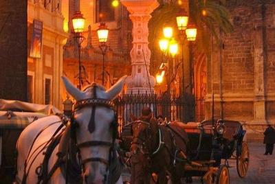 Paseo en calesa de caballos en Sevilla Paseo en calesa de caballos en Sevilla
