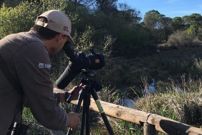Recorrido de 5 Días en Busca de las Aves Ibéricas desde Lisboa Recorrido de 5 Días en Busca de las Aves Ibéricas desde Lisboa
