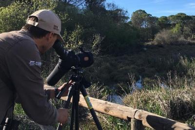 8-Dias Descubriendo Aves de Portugal y España desde Lisboa 8-Dias Descubriendo Aves de Portugal y España desde Lisboa