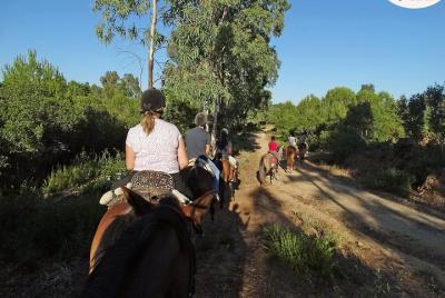 Excursión privada de un día al campo andaluz desde Sevilla Excursión privada de un día al campo andaluz desde Sevilla