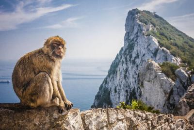 Excursión de un día a Gibraltar y Vejer desde Sevilla Excursión de un día a Gibraltar y Vejer desde Sevilla