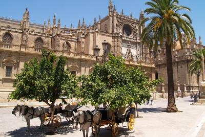 Monumentos de Sevilla: entradas a la catedral, el Alcázar y la Giralda  Monumentos de Sevilla: entradas a la catedral, el Alcázar y la Giralda