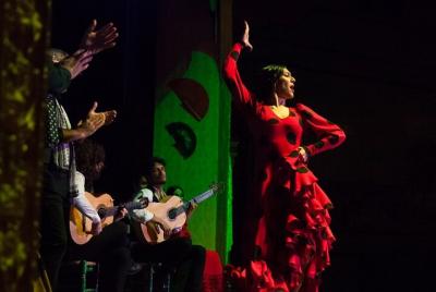 Recorrido nocturno de Sevilla con espectáculo en tablao flamenco Recorrido nocturno de Sevilla con espectáculo en tablao flamenco