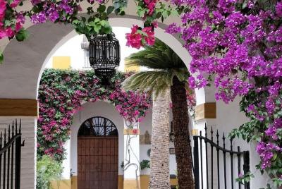 Las Dueñas visita guiada. Palacio y jardines Las Dueñas visita guiada. Palacio y jardines