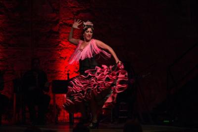 Excursión de un día al Flamenco de Jerez desde Sevilla Excursión de un día al Flamenco de Jerez desde Sevilla