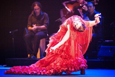 Tour de flamenco puro en Sevilla Tour de flamenco puro en Sevilla