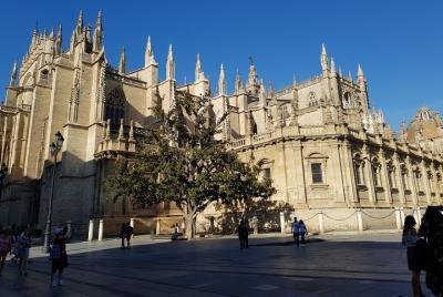 Recorrido guiado de una hora por la catedral de Sevilla y ascenso a la torre de la Giralda Recorrido guiado de una hora por la catedral de Sevilla y ascenso a la torre de la Giralda
