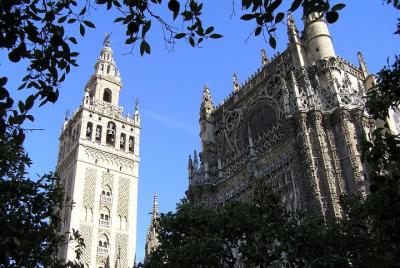 Tour privado: City Tour de Sevilla (Catedral, Real Alcázar y Santa Cruz) Tour privado: City Tour de Sevilla (Catedral, Real Alcázar y Santa Cruz)