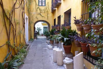Tour del Barrio de Santa Cruz y la judería Tour del Barrio de Santa Cruz y la judería