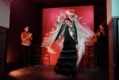 Espectáculo flamenco junto a la Catedral de Sevilla Espectáculo flamenco junto a la Catedral de Sevilla