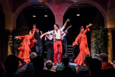 Espectáculo de flamenco en el Museo del Baile Flamenco en Sevilla Espectáculo de flamenco en el Museo del Baile Flamenco en Sevilla