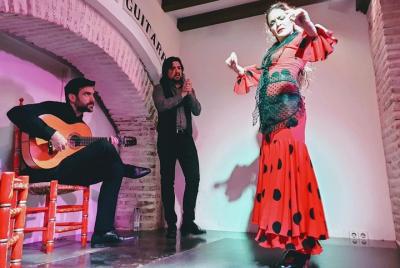 Sevilla Tapas Tour & Auténtico espectáculo de flamenco Sevilla Tapas Tour & Auténtico espectáculo de flamenco