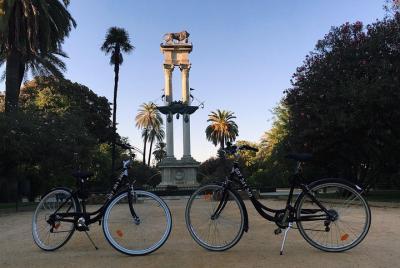 Alquiler Bicicleta dia Alquiler Bicicleta dia