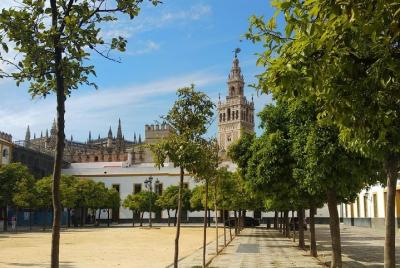 Tour privado a pie esencial por Sevilla Tour privado a pie esencial por Sevilla